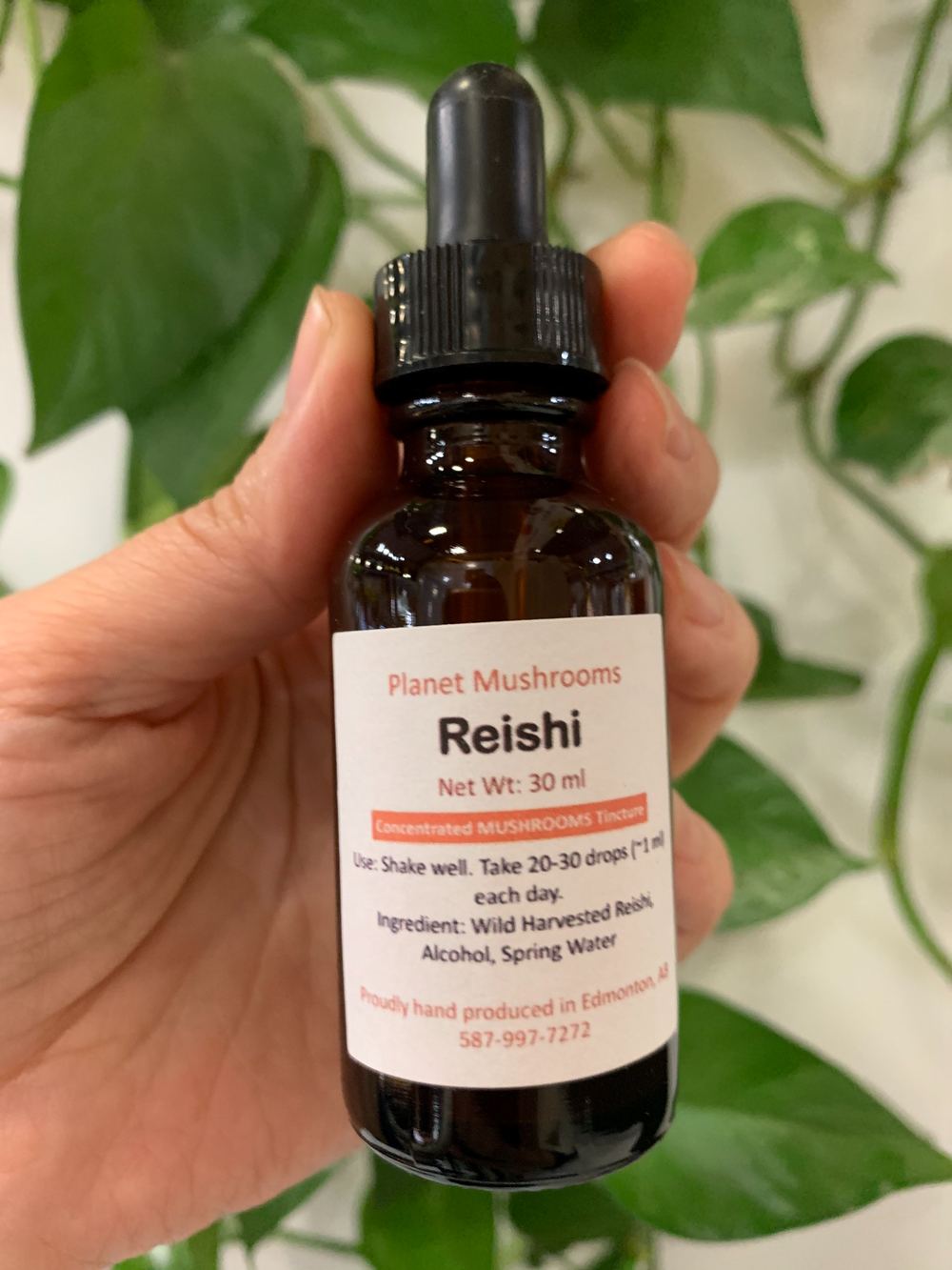 Reishi Mushroom Tincture