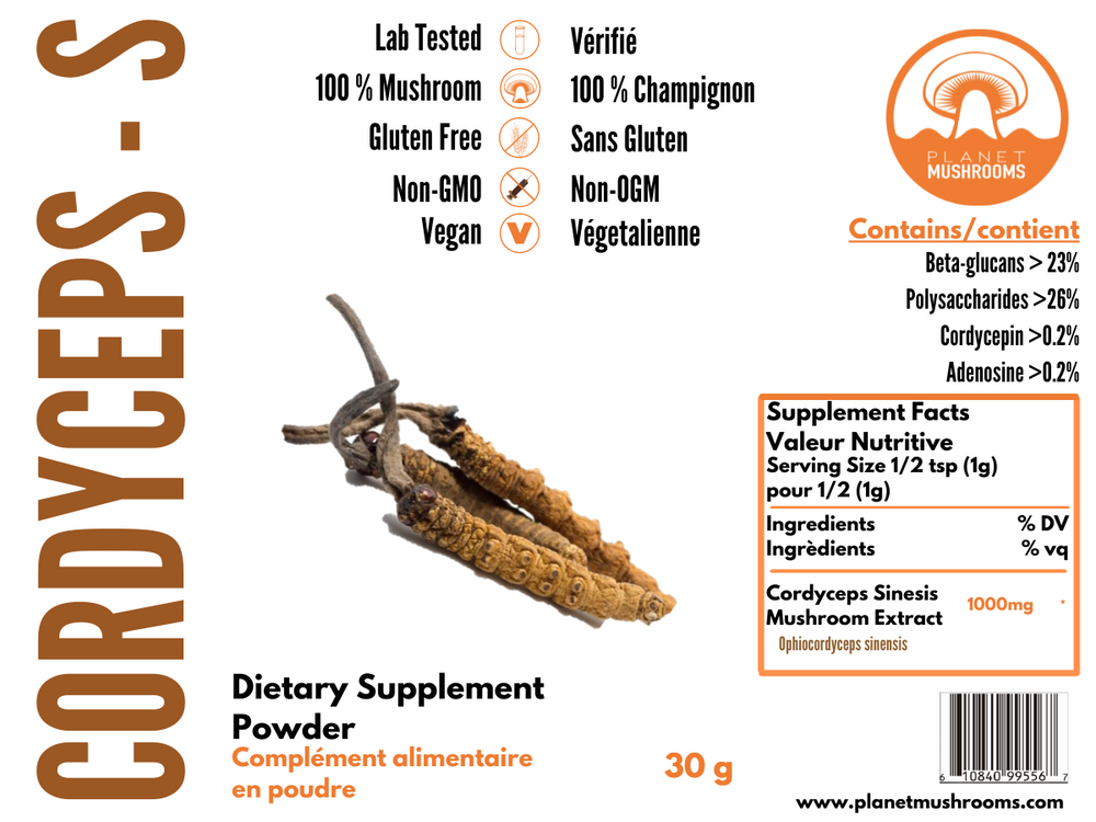 
                  
                    Cordyceps Sinensis Extract
                  
                