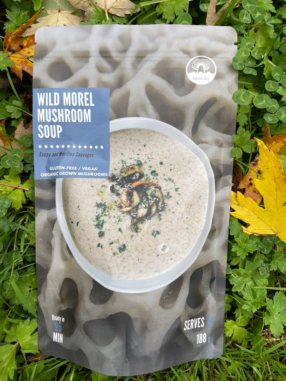 Wild Morel Mushroom Soup