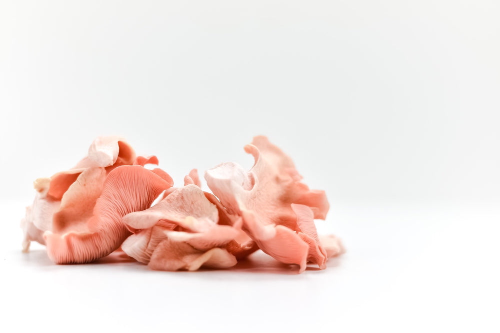 
                  
                    Smoked Flamingo Oyster Mushroom Risotto
                  
                